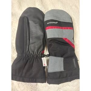 Andorra Mittens Mens L/XL Black New 3M Thinsulate Waterproof Touchscreen Ski